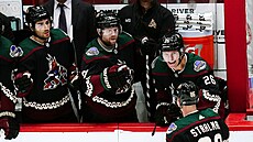 Anton Stralman (86) z Arizona Coyotes slaví gól se spoluhrá�i. Gratulují...