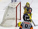 Utkání 43. kola hokejové extraligy: HC Verva Litvínov - Mountfield Hradec...