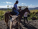 Dobrým tipem, jak poznat Kostariku, je i jízda na koních.