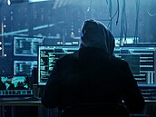 Během posledních dvou let koronavirové pandemie se znásobil počet hackerských...