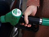 Cena benzínu roste celosvětově. (8. března 2022)