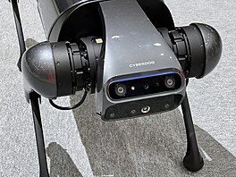 Xiaomi Cyberdog
