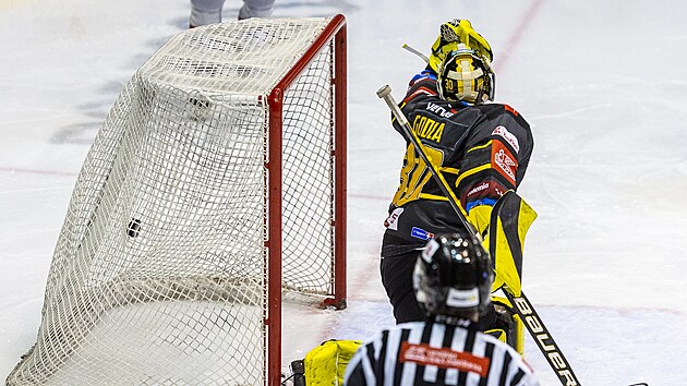 Utkání 43. kola hokejové extraligy: HC Verva Litvínov - Mountfield Hradec Králové. Brankář Litvínova Denis Godla inkasuje gól.