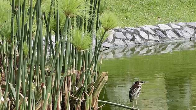 P��roda v Kostarice je opravdu fascinuj�c�