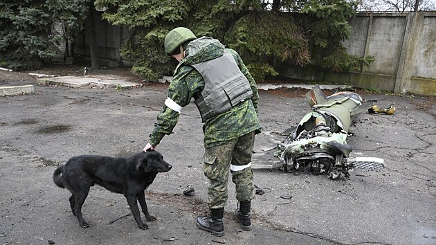 Je pravdpodobn, e ada ps i dalch mazlk zstane na Ukrajin oputna a pipoj se k toulavm zvatm na ulici.