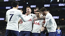 Fotbalisté Tottenhamu v gólové euforii v utkání proti Evertonu.