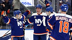 Hokejisté New Yorku Islanders se radují z gólu Brocka Nelsona.