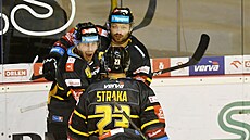 Hokejová extraliga, 43. kolo, Litvínov - Hradec Králové. Litvínov slaví gól...