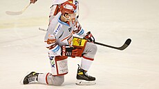 Hokejová extraliga, 43. kolo, Litvínov - Hradec Králové. Hradecký forvard Ale...