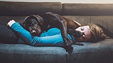 Máte doma zví�ecího mazlí�ka? A to�í se kolem n�j úpln� v�echno ve va�em...