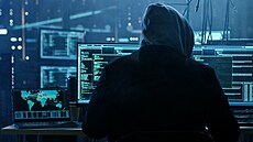 Během posledních dvou let koronavirové pandemie se znásobil počet hackerských...