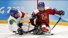 Filip Veselý v utkání s Itálií na paralympijských hrách v Pekingu.