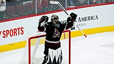 Branká� Karel Vejmelka z Arizony se raduje z výhry nad Coloradem.