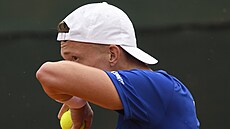 Jií Leheka v utkání Davis Cupu v Argentin