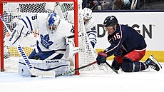 Petr Mrázek hlídá bránu Toronto Maple Leafs v zápase s Columbus Blue Jackets,...