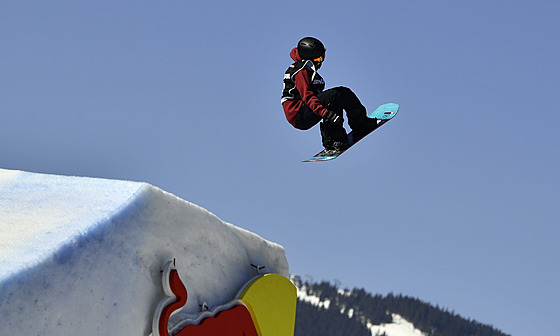 �árka Pan�ochová v závodu Sv�tového poháru ve slopestylu ve �pindlerov� Mlýn�.
