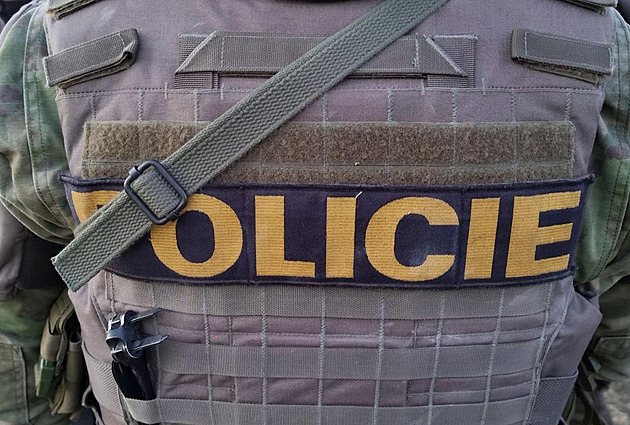 Policie zatkla pět mladíků, šířili nenávistný obsah a chystali útok na synagogu