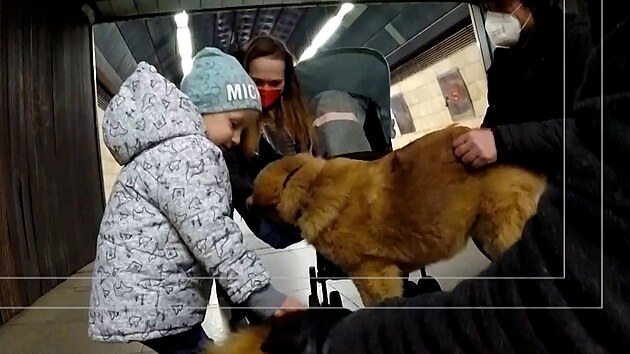 Socializace vetn kontaktu je nutn i v dopravnch prostedcch. Takto se Adlka s Lejlinkou socializovali s cestujcmi v metru. 