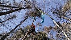 V korunách strom na Perovsku uvázl paraglidista, zachránili ho hasii. (12....
