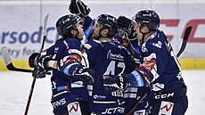 Vítkovická radost z vyrovnávací branky.