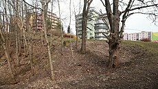 Zanedbané místo pod sídli�t�m Dobiá�ova v Liberci prom�ní radnice v hezký...