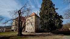 Zámek Oseany stojí nedaleko Sedlan a je obklopený velkým parkem. (25. bezna...