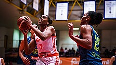 Sandrine Grudaová ze Schia se chystá ke st�ele na ko� USK Praha.