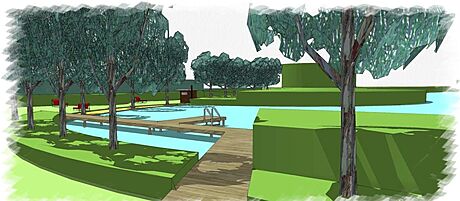Humpolecká radnice se rozhodla revitalizovat pláe rybníka Paezitý zvaného...