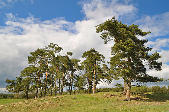 Jih �eskomoravské vrchoviny vymezuje hranice s Rakouskem a práv� pohrani�í...