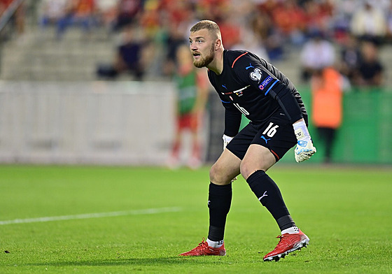 eský branká Jindich Stank bhem svého reprezentaního debutu v Belgii.