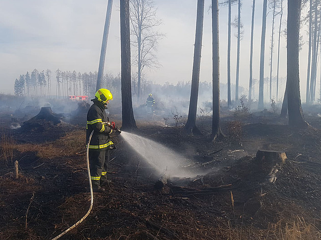 Desítky hasičů zasahují u požáru lesa na Olomoucku. Dým je vidět kilometry daleko