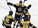 Hokejisté Bostonu se radují z gólu proti New York Islanders.