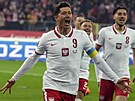 Polský útoník Robert Lewandowski se raduje, práv védsku vstelil gól, který...