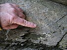 Josef Stemberk ukazuje na jednu z erstvých prasklin ve skalním bloku. Mnoství...