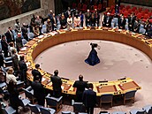 Rada bezpečnosti OSN zamítla ruskou rezoluci o humanitární pomoci Ukrajině....