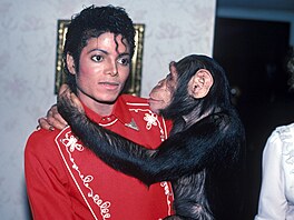 impanze Bubblese vlastnil zpvák Michael Jackson.