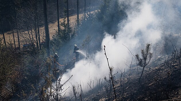Proti plamenm v lese u Sloupu na Blanensku pouili hasii dvanct vodnch proud. Zsah komplikoval vtr a tko dostupn tern.