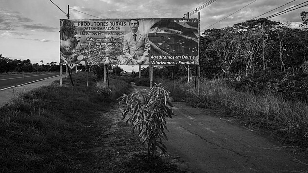 VTZ KATEGORIE DLOUHODOB PROJEKTY A REGIONU JIN AMERIKA:  Lalo de Almeida, for Folha de São Paulo/Panos Pictures; Amazonsk detn prales je ve velkm ohroen kvli ekologicky regresivn politice prezidenta Jaira Bolsonara.
