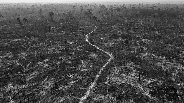 V�T�Z KATEGORIE DLOUHODOB� PROJEKTY A REGIONU JI�N� AMERIKA: � Lalo de Almeida, for Folha de São Paulo/Panos Pictures; Amazonsk� de�tn� prales je ve velk�m ohro�en� kv�li ekologicky regresivn� politice prezidenta Jaira Bolsonara.