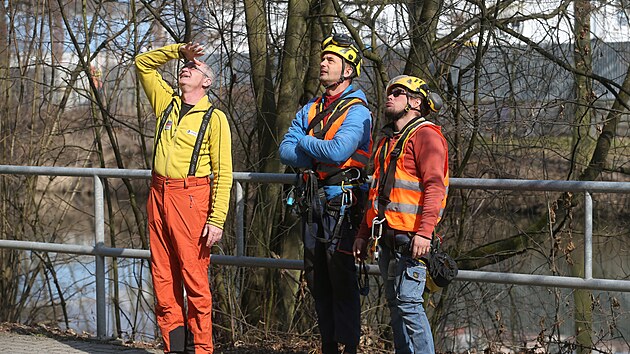 Horolezci a v�dci z �stavu struktury a mechaniky hornin Akademie v�d obhl�� lede�skou sk�lu. Vlevo je �editel Josef Stemberk, uprost�ed v�deck� pracovn�k Jan Blah�t.