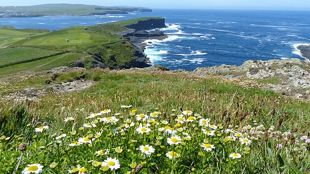 tesy Kilkee jsou vkou 80 metr podstatn ni ne svtoznm tesy Cliffs of Moher, ale krsou jim rozhodn mou konkurovat.