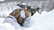 Vojenské cviení "Cold Response 2022" v Norsku, kterého se krom 30 000 voják...