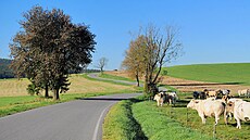 �eskomoravská vrchovina classic: scenérie u Kadova ve ��árských vr�ích