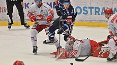 4. zápas �tvrtfinále play off hokejové extraligy, Vítkovice - T�inec. Samuel...