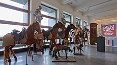 Renovované kon� v NTM