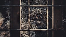 ilustra�ní snímek