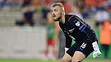 eský branká Jindich Stank bhem svého reprezentaního debutu v Belgii.