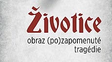 Obálka knihy �ivotice: obraz (po)zapomenuté tragédie (2022)