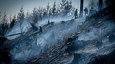 V lese u Sloupu na Blanensku hořelo nedávno ve strmém svahu na ploše přibližně...