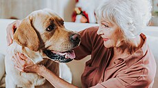 Bude tento pes také ddit?